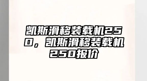 凱斯滑移裝載機250，凱斯滑移裝載機250報價