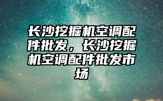 長沙挖掘機空調(diào)配件批發(fā)，長沙挖掘機空調(diào)配件批發(fā)市場