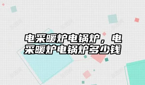 電采暖爐電鍋爐，電采暖爐電鍋爐多少錢