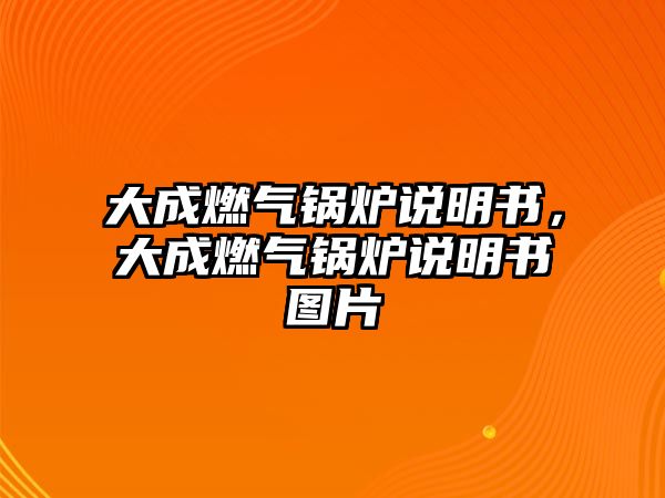 大成燃?xì)忮仩t說(shuō)明書(shū)，大成燃?xì)忮仩t說(shuō)明書(shū)圖片