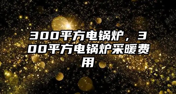 300平方電鍋爐，300平方電鍋爐采暖費(fèi)用