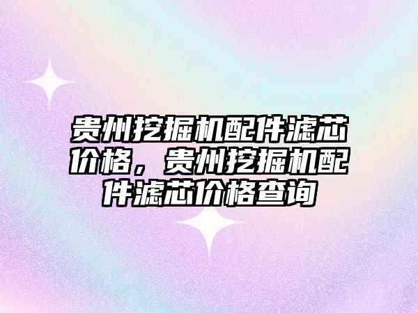 貴州挖掘機配件濾芯價格，貴州挖掘機配件濾芯價格查詢