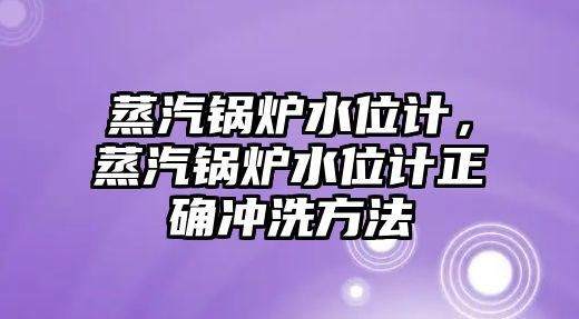 蒸汽鍋爐水位計，蒸汽鍋爐水位計正確沖洗方法