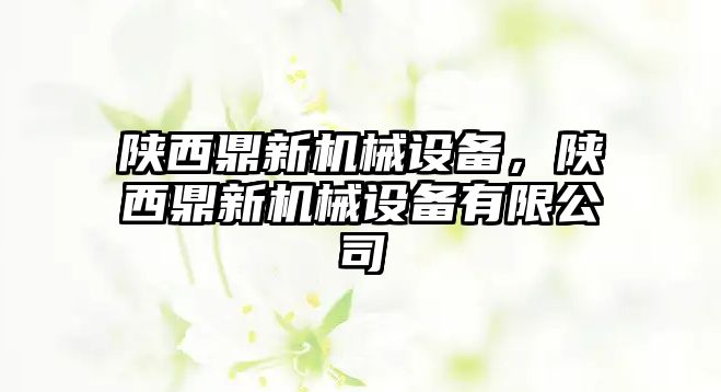 陜西鼎新機械設(shè)備，陜西鼎新機械設(shè)備有限公司