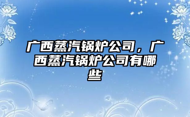 廣西蒸汽鍋爐公司，廣西蒸汽鍋爐公司有哪些