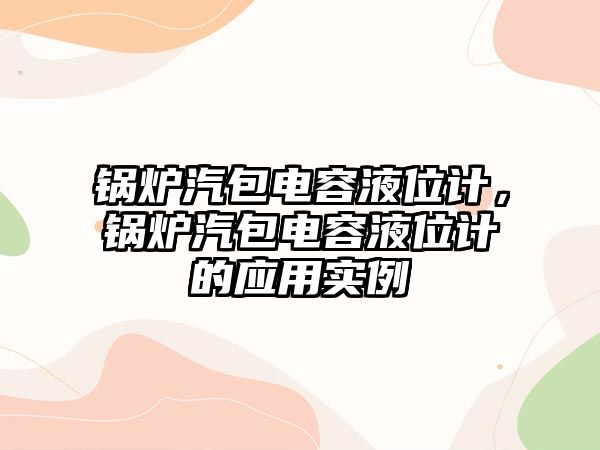 鍋爐汽包電容液位計，鍋爐汽包電容液位計的應用實例