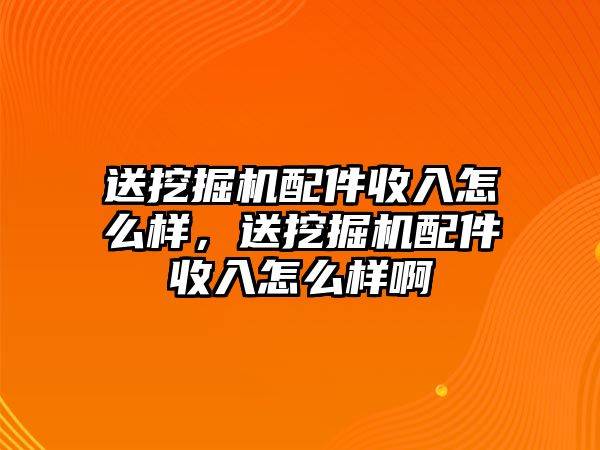 送挖掘機(jī)配件收入怎么樣，送挖掘機(jī)配件收入怎么樣啊