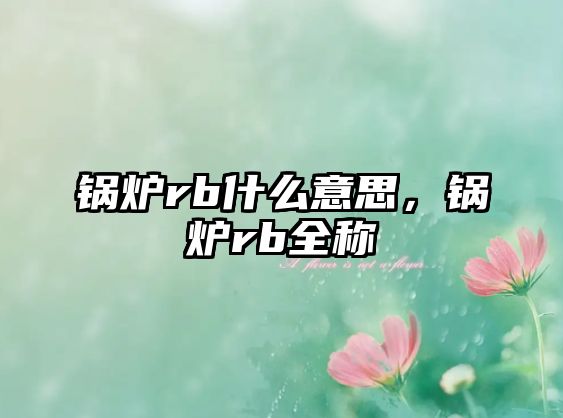 鍋爐rb什么意思，鍋爐rb全稱(chēng)