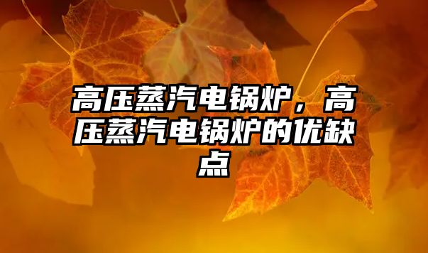 高壓蒸汽電鍋爐，高壓蒸汽電鍋爐的優(yōu)缺點