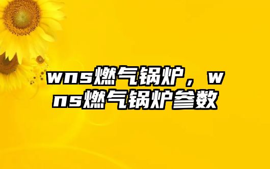 wns燃?xì)忮仩t，wns燃?xì)忮仩t參數(shù)