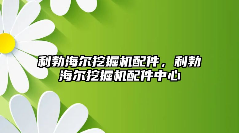 利勃海爾挖掘機配件，利勃海爾挖掘機配件中心