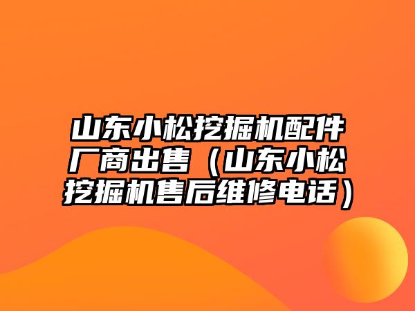 山東小松挖掘機(jī)配件廠商出售（山東小松挖掘機(jī)售后維修電話）