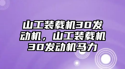 山工裝載機30發(fā)動機，山工裝載機30發(fā)動機馬力