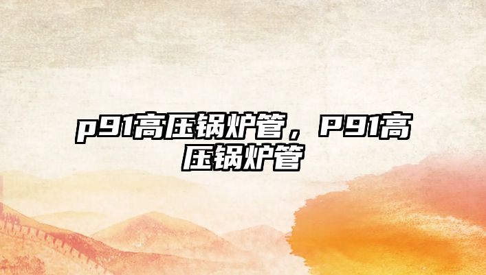 p91高壓鍋爐管，P91高壓鍋爐管