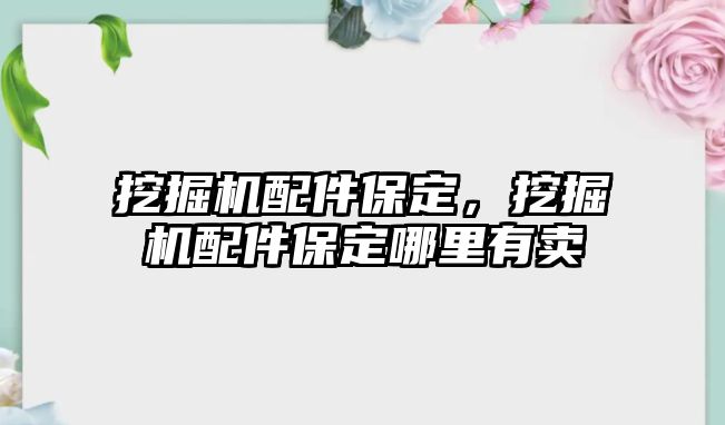 挖掘機(jī)配件保定，挖掘機(jī)配件保定哪里有賣