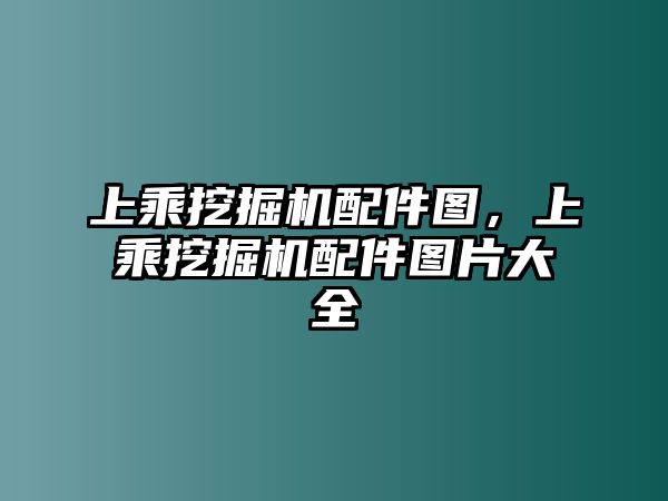 上乘挖掘機(jī)配件圖，上乘挖掘機(jī)配件圖片大全