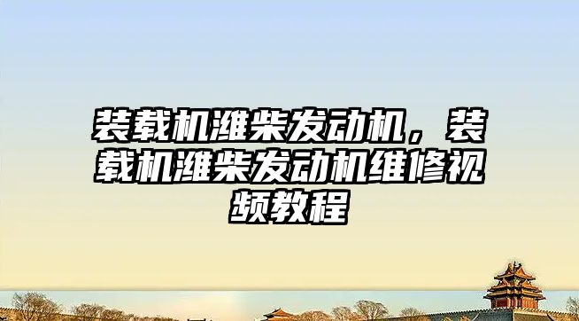 裝載機濰柴發(fā)動機，裝載機濰柴發(fā)動機維修視頻教程