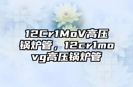 12Cr1MoV高壓鍋爐管，12cr1movg高壓鍋爐管