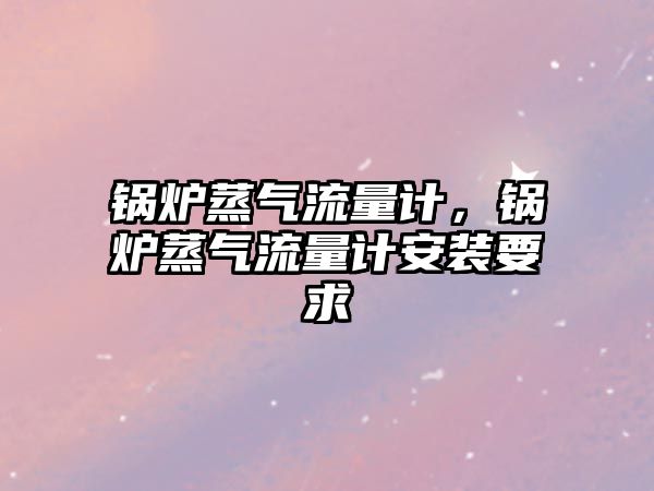 鍋爐蒸氣流量計，鍋爐蒸氣流量計安裝要求