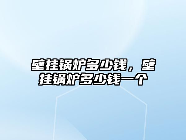 壁掛鍋爐多少錢，壁掛鍋爐多少錢一個