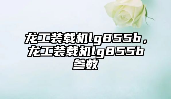 龍工裝載機lg855b，龍工裝載機lg855b參數(shù)