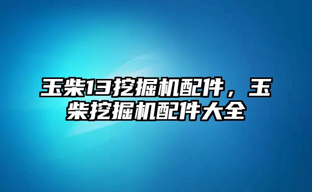 玉柴13挖掘機配件，玉柴挖掘機配件大全