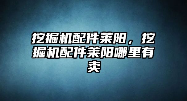 挖掘機配件萊陽，挖掘機配件萊陽哪里有賣