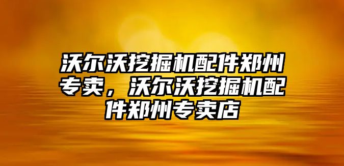 沃爾沃挖掘機配件鄭州專賣，沃爾沃挖掘機配件鄭州專賣店