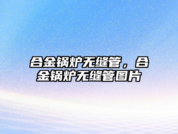 合金鍋爐無縫管，合金鍋爐無縫管圖片