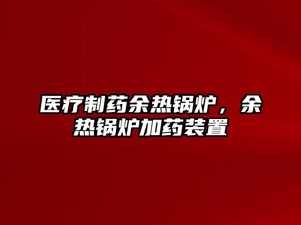 醫(yī)療制藥余熱鍋爐，余熱鍋爐加藥裝置