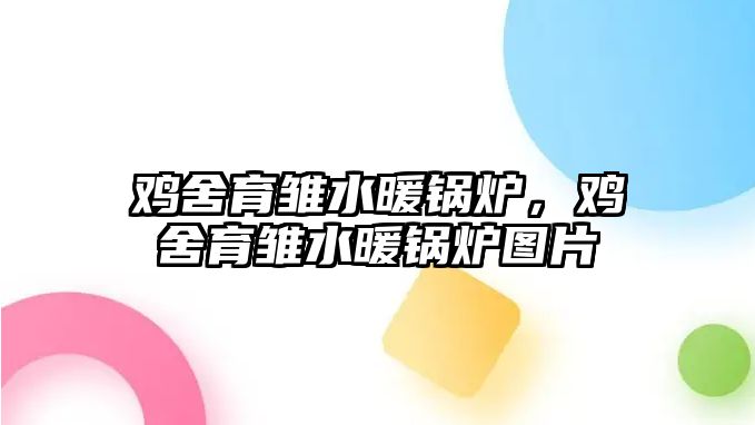 雞舍育雛水暖鍋爐，雞舍育雛水暖鍋爐圖片