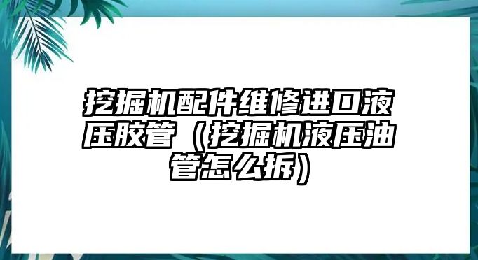 挖掘機(jī)配件維修進(jìn)口液壓膠管（挖掘機(jī)液壓油管怎么拆）