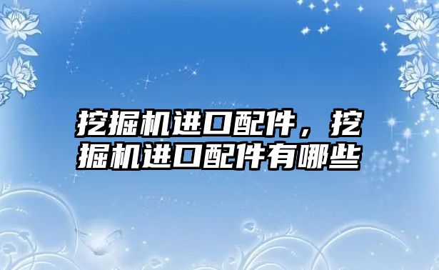 挖掘機進口配件，挖掘機進口配件有哪些