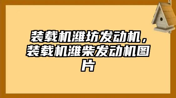 裝載機(jī)濰坊發(fā)動(dòng)機(jī)，裝載機(jī)濰柴發(fā)動(dòng)機(jī)圖片