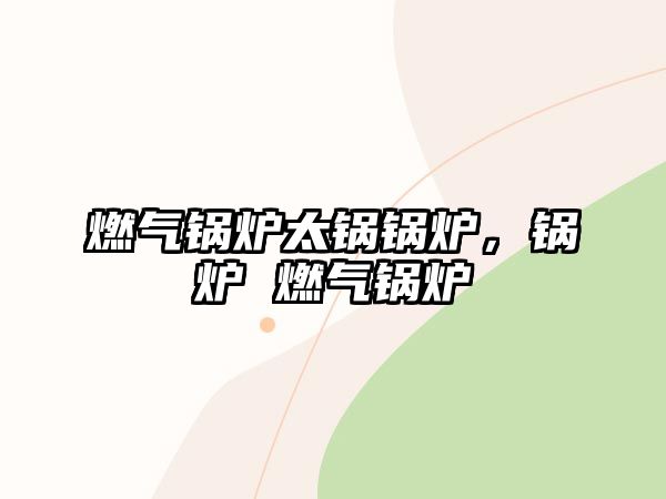 燃?xì)忮仩t太鍋鍋爐，鍋爐 燃?xì)忮仩t