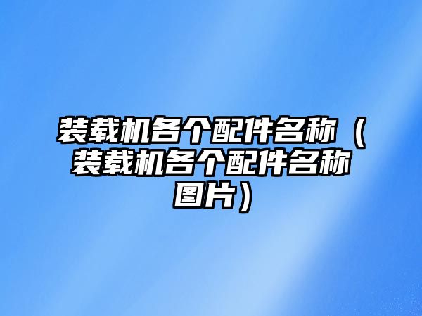 裝載機(jī)各個配件名稱（裝載機(jī)各個配件名稱圖片）