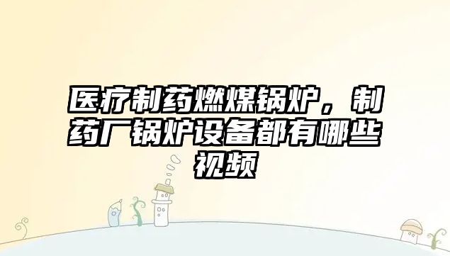 醫(yī)療制藥燃煤鍋爐，制藥廠鍋爐設備都有哪些視頻