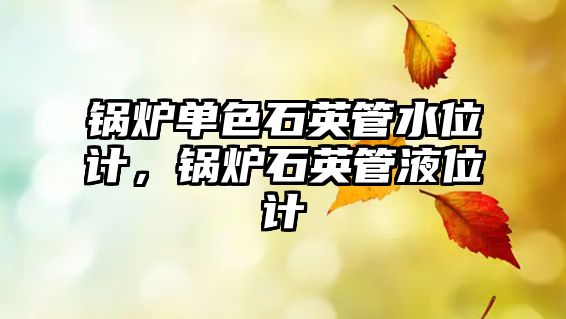 鍋爐單色石英管水位計(jì)，鍋爐石英管液位計(jì)