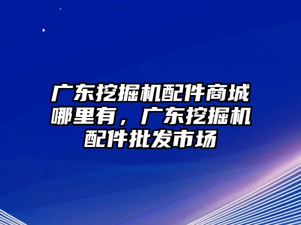 廣東挖掘機(jī)配件商城哪里有，廣東挖掘機(jī)配件批發(fā)市場(chǎng)