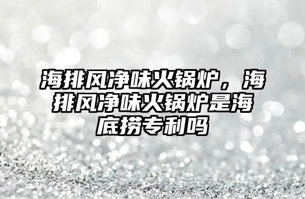 海排風凈味火鍋爐，海排風凈味火鍋爐是海底撈專利嗎