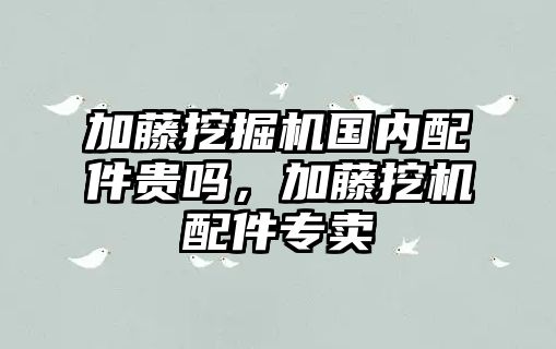 加藤挖掘機(jī)國(guó)內(nèi)配件貴嗎，加藤挖機(jī)配件專賣