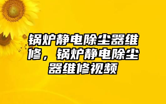 鍋爐靜電除塵器維修，鍋爐靜電除塵器維修視頻