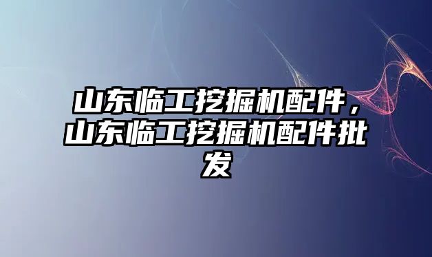 山東臨工挖掘機配件，山東臨工挖掘機配件批發(fā)