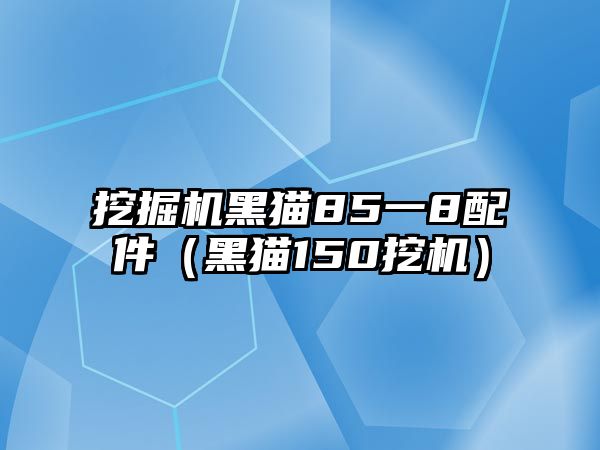 挖掘機(jī)黑貓85一8配件（黑貓150挖機(jī)）