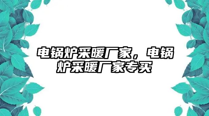 電鍋爐采暖廠家，電鍋爐采暖廠家專買