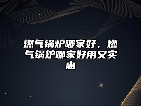 燃?xì)忮仩t哪家好，燃?xì)忮仩t哪家好用又實(shí)惠