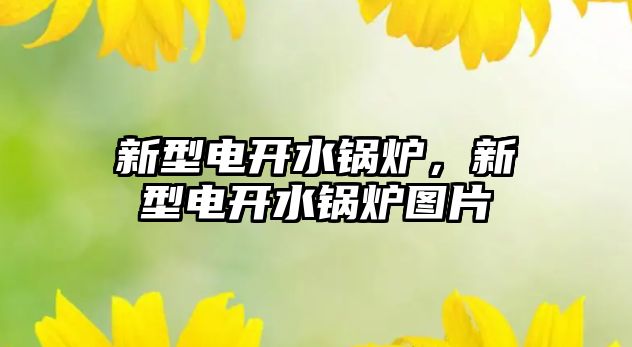 新型電開水鍋爐，新型電開水鍋爐圖片