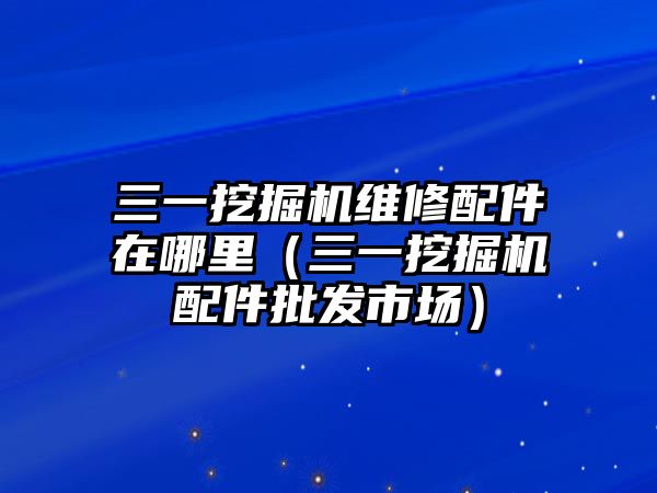 三一挖掘機(jī)維修配件在哪里（三一挖掘機(jī)配件批發(fā)市場）