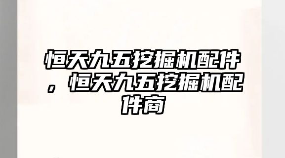 恒天九五挖掘機配件，恒天九五挖掘機配件商