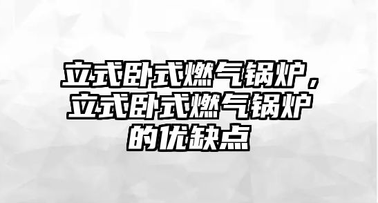 立式臥式燃?xì)忮仩t，立式臥式燃?xì)忮仩t的優(yōu)缺點(diǎn)